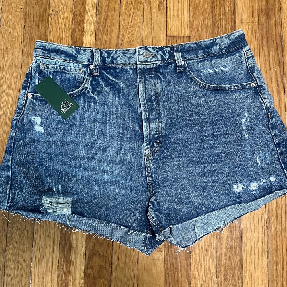 Wild Fable Distressed Denim Shorts
